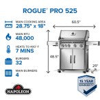 Rogue® PRO 525 SIB / Propane